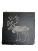 Nahkaiset lasinaluset, 8 osaa - Edvardson