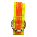 Leash attachment for GPS collar