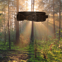 Vildmarksbälte i naturen med morgonsol som tränger mellan träden med dis.