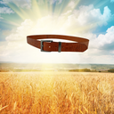 Bläte flyter i luften över fält med gula växter