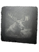 Glasunderlägg av skifferplatta ÄLG