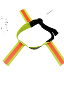 Flärphalsband för Hund – Reflexhalsband med Flärpar för Synlighet & Säkerhet